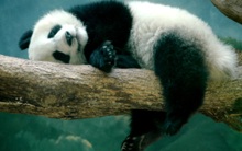 Закажи себе недорогой сайт