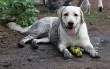 Работаем качественно